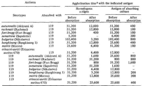 TABLE  2-Results  of  cross-agglutination-absorption  tests  with  the  Leprospira  isolate  from  rat  119  and  selected  serotypes  of  the  Autumnalis  group