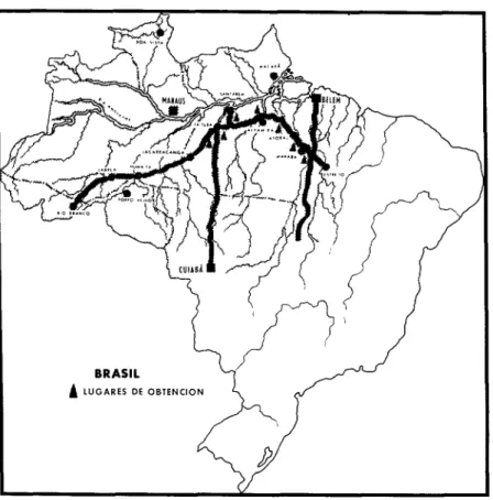 FIGURA  l-lugares  de  obtención  de  muestras  para  los  estudios  sobre  el  terreno,  descritos  por  los  autores  a  lo  largo  de  la  Carretera  Tranromazónica  y  la  de  Santarém  a  Cuisbá