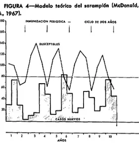 FIGURA  4-Modelo  tebrico  del  sarampión  (McDonald,  G.,  1967). 