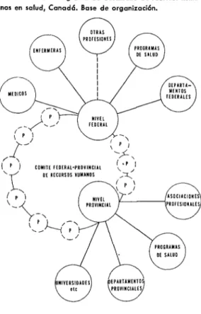 FIGURA  3-Programo  de  desarrollo  de  recvrror  huma-  nos en salud,  Canadá.  Base  de  organización