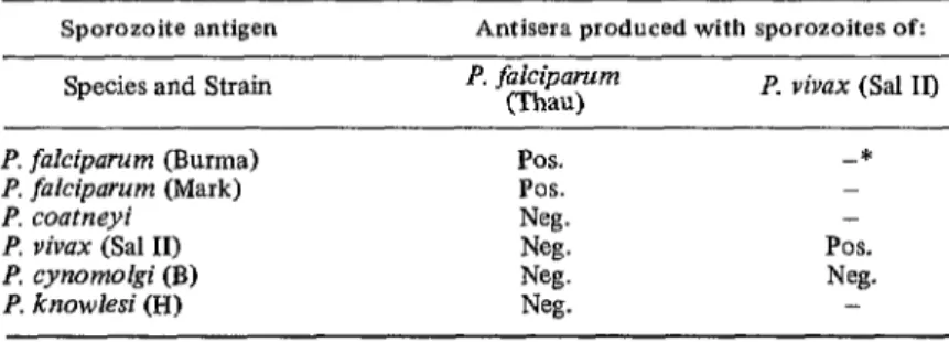 TABLE  2-Species-specificity  and  strain  cross-reactivity  of  CSP  antibodies  induced  in  rats by  intravenous  injection  of P