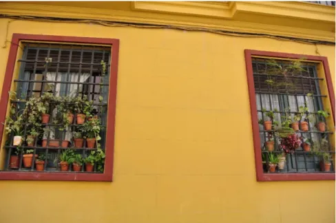 Figure 8. Windows with flower pots in Seville, Spain 