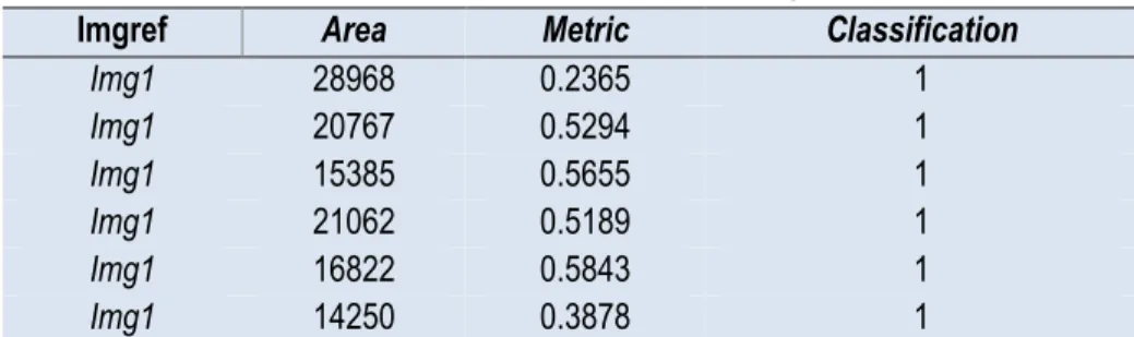 Table  1 shows  the  area  and  metric correspondence  for  the  example  shown  in  Fig