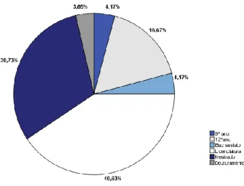 Gráfico 1 – Distribuição dos participantes por habilitações literárias 