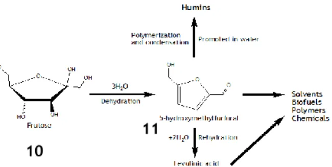 Figure  3  -  Example  of  isomerization  reaction,  also  known  as  Lobry  de  Bruyn-van  Ekenstein  rearrangement