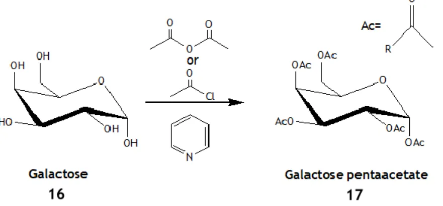 Figure 4 – Acylation reaction of Galactose (α-anomer on the example) using acetic anhydride or acetyl  chloride, in anhydrous pyridine