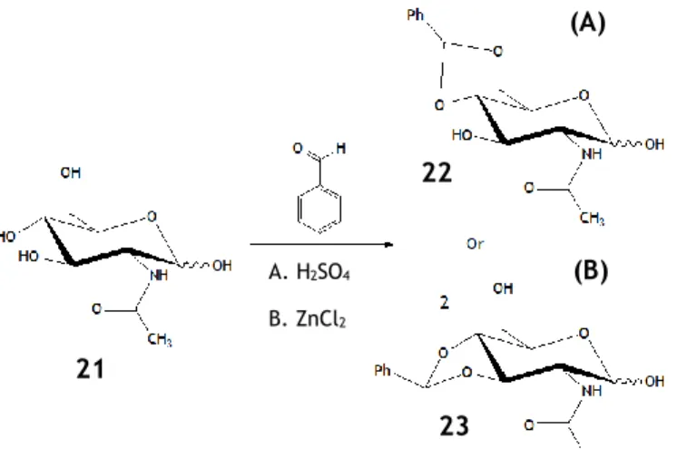 Figure  6  –  Example  of  hydroxyl  group  protection  with  a  benzylidene  group.  In  this  example,  two  synthetic routes are approached, both using benzaldehyde as solvent