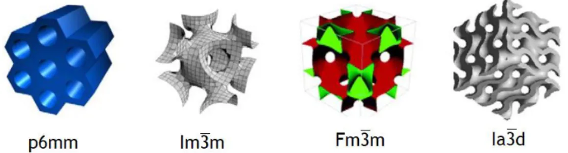 Figure 9 - From left to right they are categorized in 2D hexagonal, body-centered cubic, face-centered  cubic, and gyroid structures
