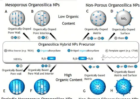 Figure  11–  General  mechanisms  of  mesoporous  silicas.  On  this  scheme  is  represented  the  mechanisms of synthesis of porous (A, B, E, F)/non-porous (C, D, G, H) non-organized (C, D,  G, H), ordered (A, B) or periodic (E, F) mesoporous organosilic