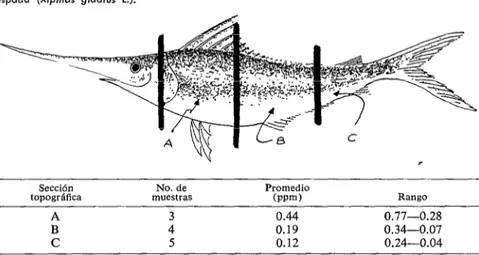 FIGURA  ?-Contenido  de  mercurio  hallado  en  diferentes  secciones  topográficos  del  pez  espada  (Xiphias  gfodius  1.)