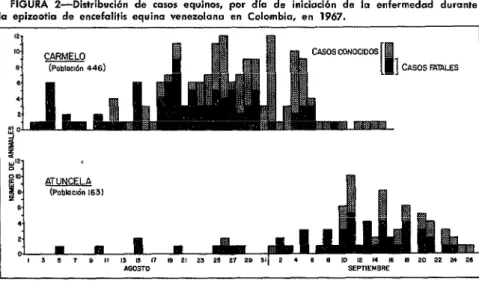 FIGURA  2-Distribucibn  de  casos  ectuinos,  par  dla  de  iniciación  de  la  enfermedad  durante  la  epizootia  de  encefalitis  eauina  ven&amp;lana  én  Colombia,  en  1967