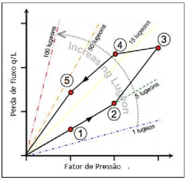 Figura 2-23 Interpretação de resultados de Teste de Lugeon em perda de pressão vs volume do espaço  (Quinones-Rozo, 2010)