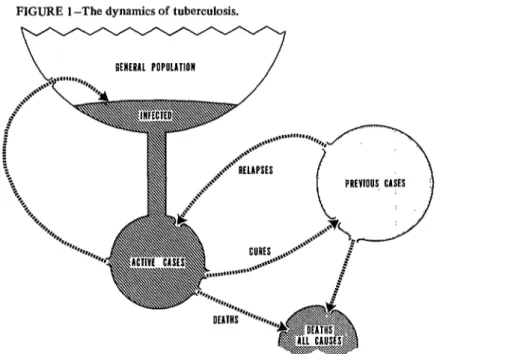 FIGURE  1 -The  dynamics  of  tuberculosis. 