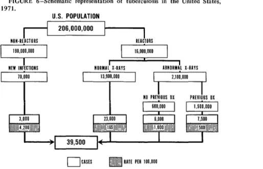 FIGURE  6-Schematic  representation  of  tuberculosis  in  the  United  States, FIGURE 6-Schematic representation of  tuberculosis in  the  United  States,  1971