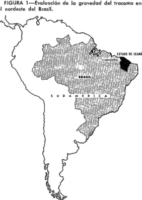 FIGURA  l-Evaluación  de  la  gravedad  del  tracoma  en  el  nordeste  del  Brasil. 