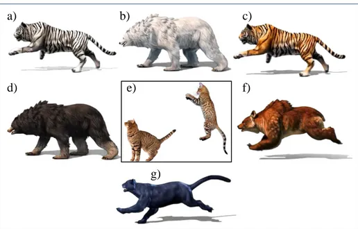 Figura 23. Inimigos terrestres dinâmicos: a) Tigre siberiano (a correr); b) Urso polar (a andar); c) Tigre  de Bengala, (a correr); d) Urso negro (a andar); e) Gato (sentado e a saltar); f) Urso pardo (a correr); g)  
