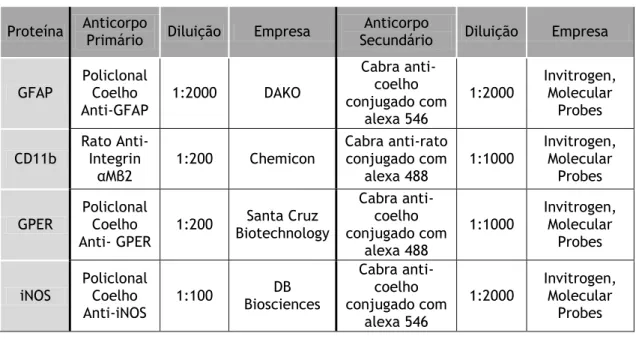 Tabela 1 - Anticorpos primários e secundários utilizados nos ensaios de imunocitoquímica