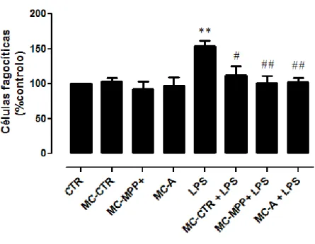 Figura  8  -  Efeito  dos  meios  condicionados  na  atividade  fagocitica  microglial  induzida  pelo  LPS