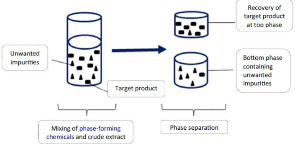 Figure 13 - Schematic representation of target product recovery by ATPS (adapted from (Phong, Show et  al