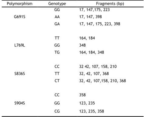 Table  3  -  Gene  RET  polymorphisms,  expected  genotypes  and  the  respective  restriction  fragments