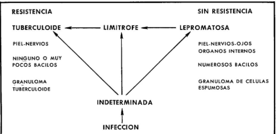 FIGURA  l-Clasificación  de  la  lepra. 