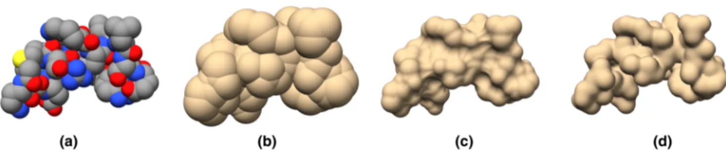 Figure 1: (a) Van der Waals surface; (b) SAS surface; (c) SES surface; (d) Gaussian surface