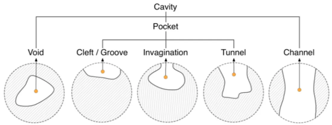 Figure 3: Types of cavities.