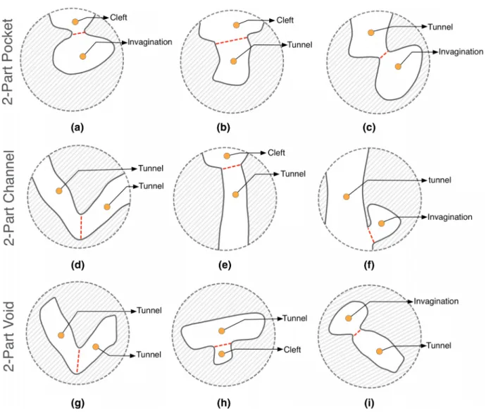 Figure 4: Hierarchical 2-part pocket, channel and void examples. (a) A pocket composed by a cleft and a invagination; (b) A pocket composed by a cleft and a tunnel; (c) A pocket composed by a tunnel and a invagination; (d) A channel composed by two tunnels