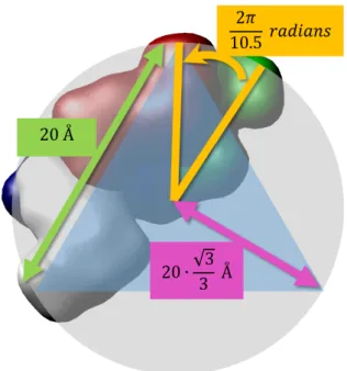 Figure 2.15: Raposo and Gomes building blocks relative positions: angle between consecutive base pairs (orange); distance between the two complementary building blocks (green); and distance from the