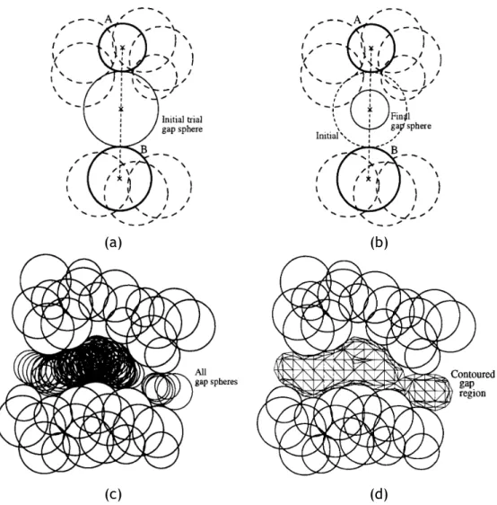 Figure 2.6: Detecting a cavity through SURFNET: (a) Each probe sphere is placed at the midpoint of a pair of atoms (A, B); (b) but, if such probe sphere overlaps at least an atom (dashed spheres), its radius has