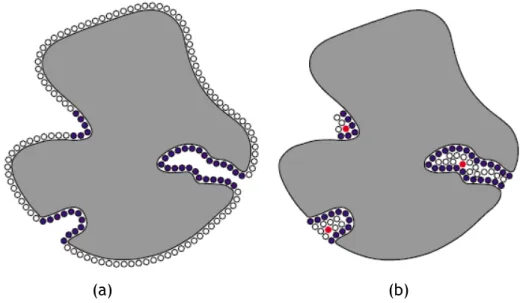 Figure 2.7: Detecting cavities through PASS: (a) coating the molecular surface with a first layer of probe spheres; (b) a second layer of probe spheres is, in this case, enough to find cavities on molecular surface