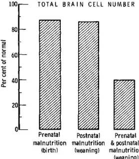 FIGURE  4.  Comparison  of  caloric  restriction  after  birth, protein  restriction  during  gestation,  and  &#34;combined&#34;   pre-natal  and  postpre-natal  restriction.