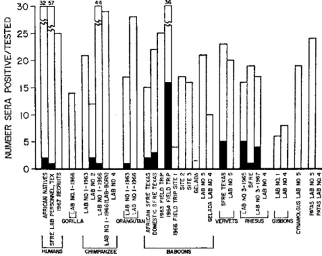 FIGURE  5.  Number  of  primates  with  complement  fixing  antibodies  to  lymphocytic  choriomeningitis virus