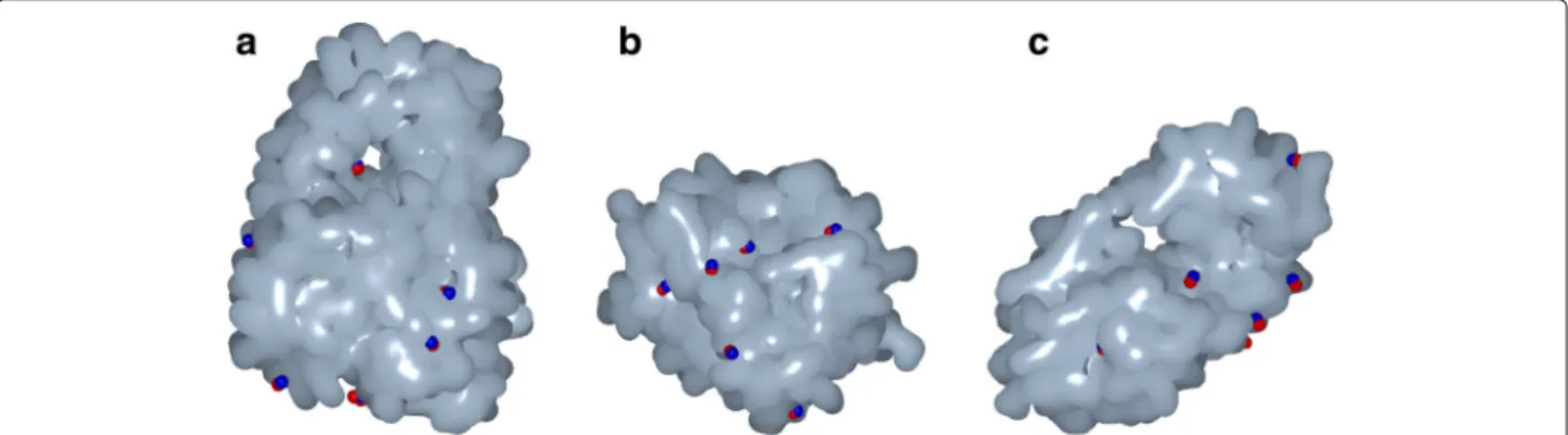 Figure 3 shows the Gaussian surfaces (in gray) of tree proteins after their triangulation, as well as some of their