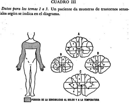 CUADRO III 