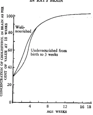 Figure  4.  CONCENTRATION  OF  CHOLESTEROL IN  RAT'S  BRAIN K, o Z z z o u Undernaurished  frombirth to  3 weeks 4  8  12  16  18 AGE  WEEKS