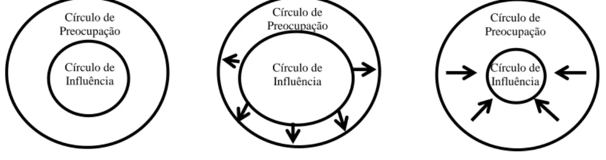 Figura 2: círculos da preocupação e da influência 