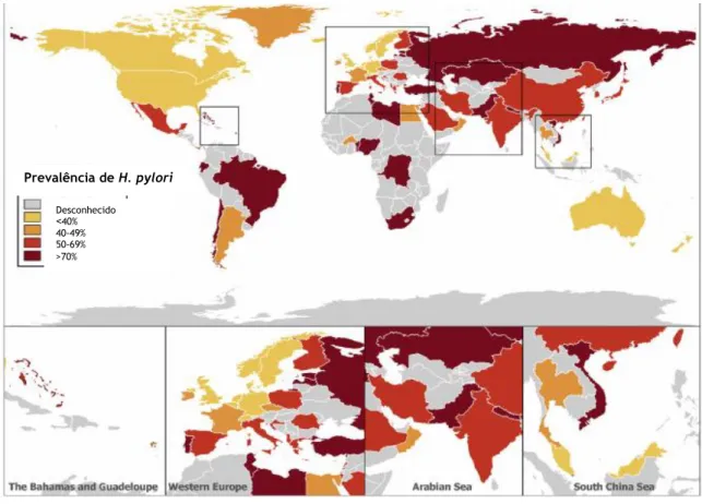 Figura 2 Prevalência global de H. pylori  (13)