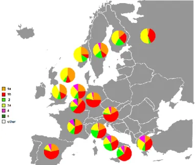 Figura 3 - Estimativa da distribuição dos genótipos do VHC nos diferentes países Europeus, a partir de  estudos publicados antes de 1999 (19)