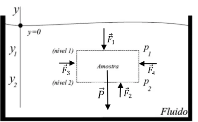 Figura 1.3 – Tanque com um fluido em equilíbrio estático e uma amostra imersa nesse fluido