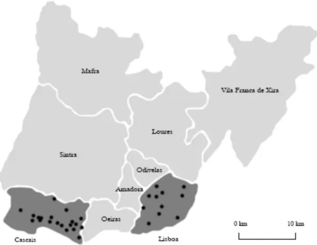 Fig. 1: Localização de situações de AU nos municípios de Lisboa e Cascais. 