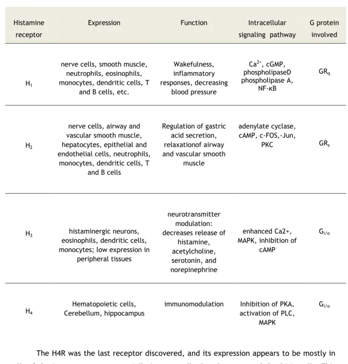 Table 1: Expression, Function, and Signaling of Histamine Receptors and the G Proteins Involved  (Adapted from: Jadidi-Niaragh and Mirshafiey, 2010; Marson, 2011)