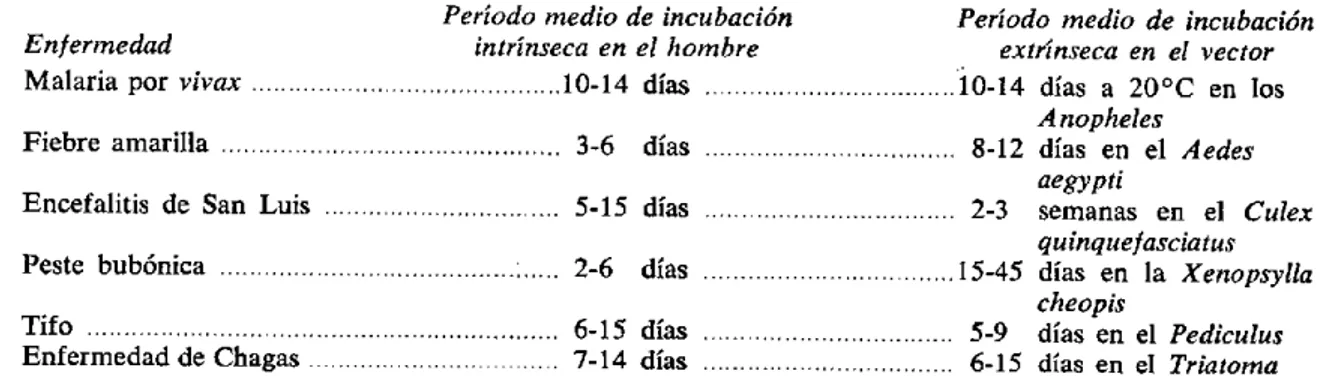 Figura  10.  PERIODOS  DE  INCUBACION  INTRINSECA  Y  EXTRINSECA  EN  EL  HOMBRE  Y  EN  EL  VECTOR 14