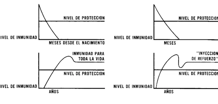 Figura  16.  INMUNIDAD  CONTRA  LAS  ENFERMEDADES  INFECCIOSAS