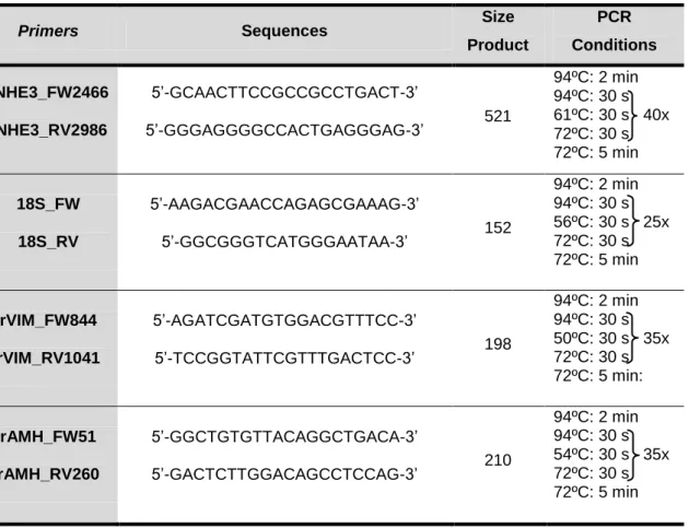 Table 3:   Primers sequences, PCR product size and PCR conditions