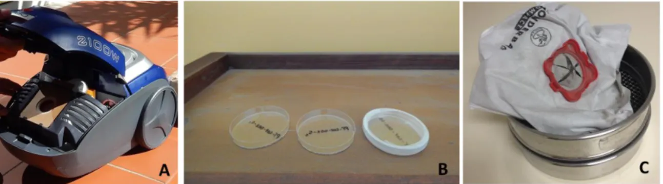 Figure 1. House dust sampling. (A) Household vacuum cleaner used for active sampling; (B) Petri dishes placed on the  top of a shelf; (C) Vacuum cleaner bag retrieved after 60 days of sampling