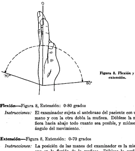Figura 8.  Flexión  y extensión.