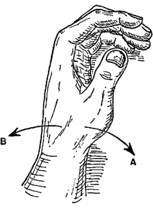 Figura 20.  Pruebas  musculares  para