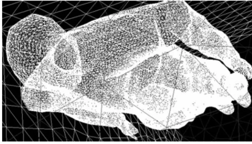 Figure 1 — Swimmer’s model geometry with the surfaces meshed using Gambit. An example for the position with the arms along  the trunk is presented.