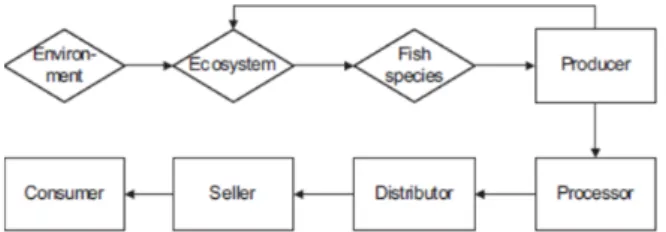 Fig. 2 Schematic value chain flows from sea to consumer for a single  fish species [22] 